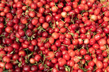 Taze organik kiraz arka plan