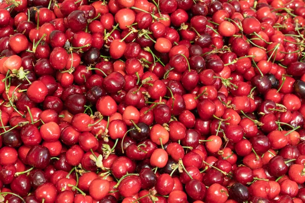 Taze organik kiraz arka plan