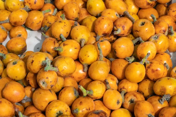 Loquat frukt eller japanska mispel bakgrund — Stockfoto