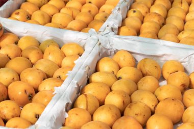 Çiftçi pazarında sandıklar üzerinde Loquat meyve veya Japon medlars