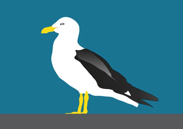 Seagull na tle błękitnego nieba — Wektor stockowy