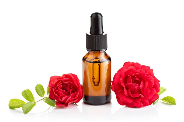 Rose essential oil Stock Image