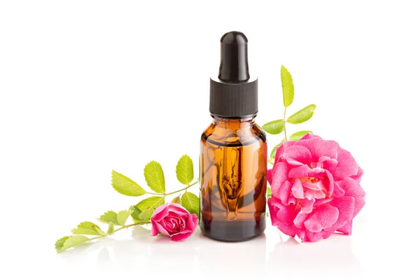 Rose essential oil Stock Image