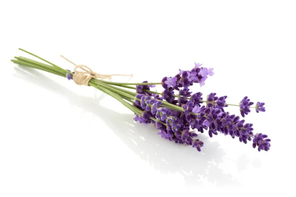 Pacote de flores de lavanda em um fundo branco — Fotografia de Stock