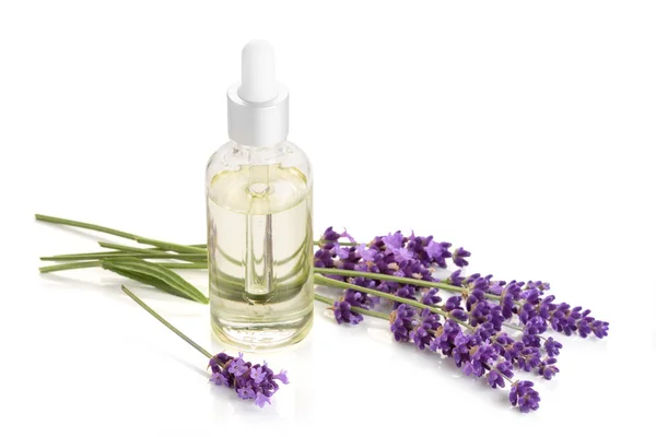 Lavender essential oil isolated on white background — Stock Photo, Image