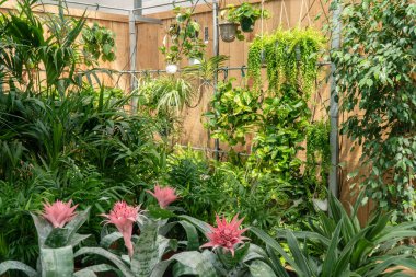 Bahçe mağaza merkezi