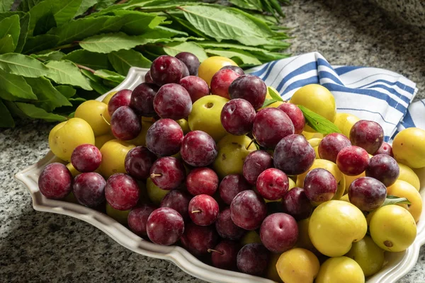 Fresh organic red plums in bowl — Stock Photo, Image