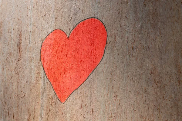 Love heart hand painted on a trunk tree. Love concept