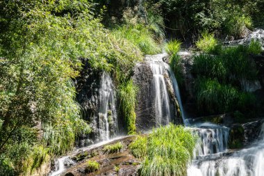 İlkbaharda Orman nehir şelalesi