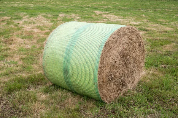 Bale redondo de hierba —  Fotos de Stock