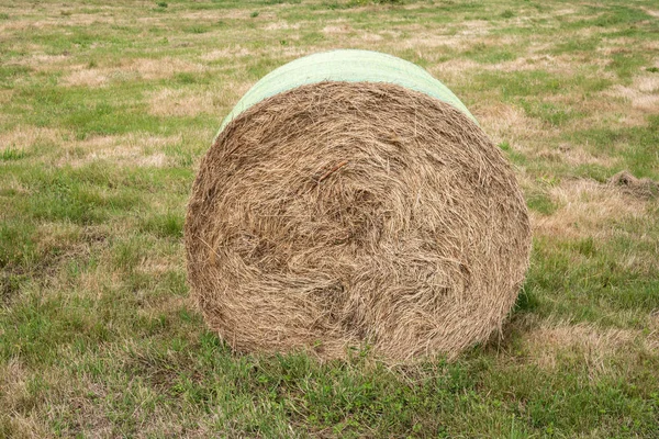 Rundballen aus Unkraut — Stockfoto