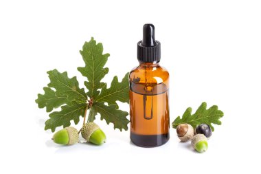 Meşe palamudu uçucu yağ beyaz arka plan izole