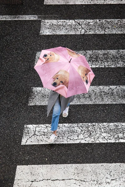 ฉากของผู้หญิงที่มีร่มน่ารักกับสุนัขข้ามทางเท้า ท็อปวิว — ภาพถ่ายสต็อก