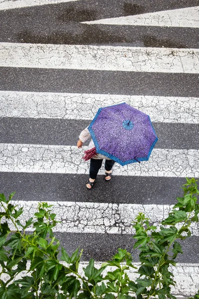 ฉากของผู้หญิงที่มีร่มแฟชั่นข้ามทางเท้า ท็อปวิว — ภาพถ่ายสต็อก