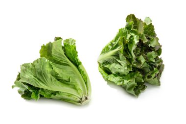 Beyaz arkaplanda taze marul izole edildi