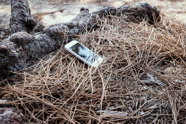 Смартфон загублений в лісі — стокове фото