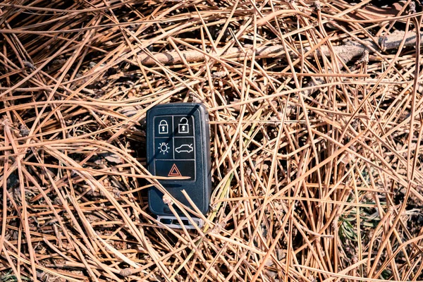 Chaves de carro perdido deitado no chão floresta de pinheiros — Fotografia de Stock