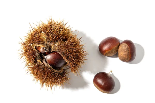 Sweet Chestnut and husk isolated on white background — Stock Fotó