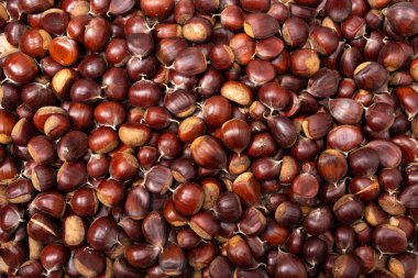 Tatlı Kestane arka plan. Üstte görüntü.