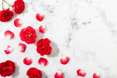 Kırmızı gül ve mermer arka planda taç yaprakları. Sevgililer Günü ya da düğün geçmişi.