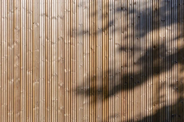 Moderne Ökologische Holzfassadenkulisse Mit Baumschatten Holz Verkleidung Hintergrund Textur — Stockfoto