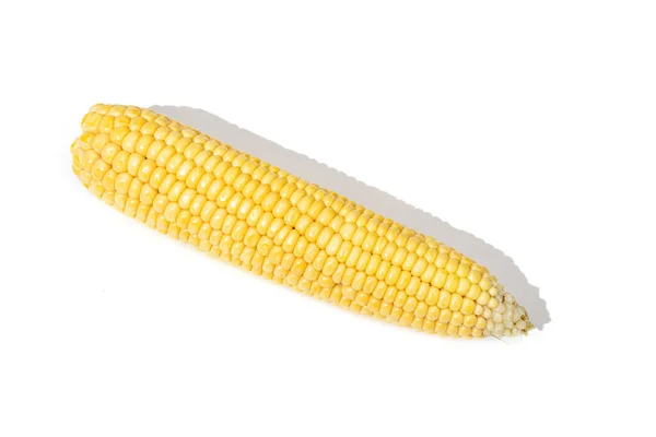 被白色背景隔离的耳朵玉米 生玉米 — 图库照片