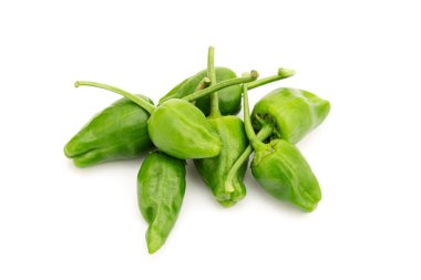 Taze Padron biberi beyaz arka planda izole edilmiş. Capsicum yıllık