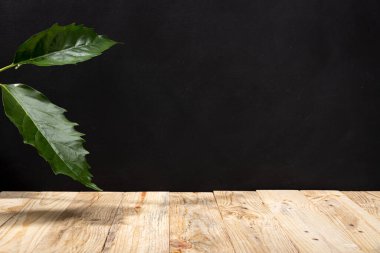 Boş ahşap masa ve arka planda yeşil yapraklar. Şablon oluşturun. Boşluğu kopyala