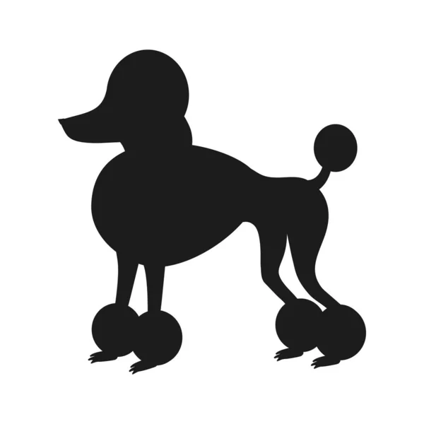 Silhuett Pudel Hund Med Stiliserad Frisyr Vektorillustration — Stock vektor