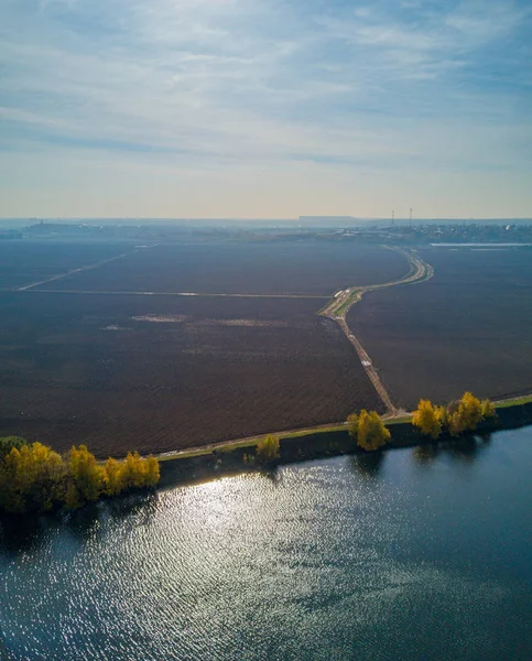 Robot görünümü Moskova Nehri yakınındaki Dzerzhninsky City Moscow Region adlı / Rusya