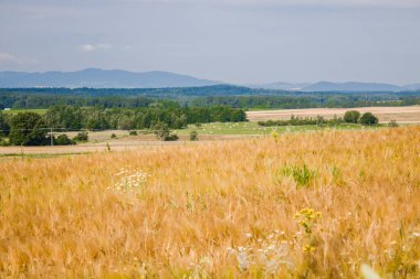 View from Czartowska Skaa (463 m above sea level), one of the most characteristic basalt hills in the Kaczawskie Foothills in Poland.