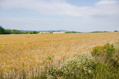 View from Czartowska Skaa (463 m above sea level), one of the most characteristic basalt hills in the Kaczawskie Foothills in Poland.