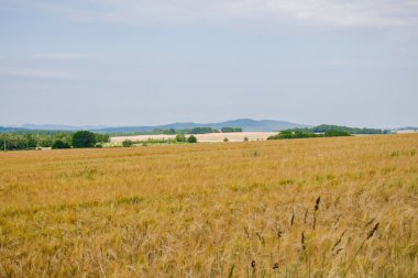View from Czartowska Skaa (463 m above sea level), one of the most characteristic basalt hills in the Kaczawskie Foothills in Poland.