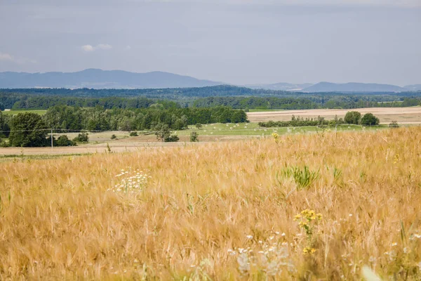 View from Czartowska Skaa (463 m above sea level), one of the most characteristic basalt hills in the Kaczawskie Foothills in Poland.