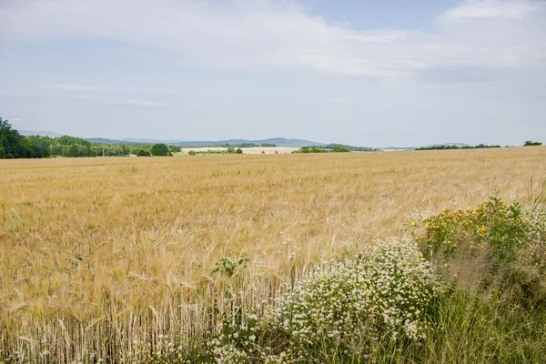 View from Czartowska Skaa (463 m above sea level), one of the most characteristic basalt hills in the Kaczawskie Foothills in Poland.