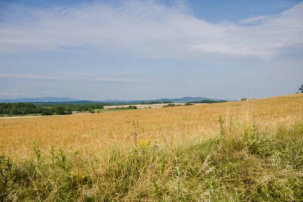 View from Czartowska Skaa (463 m above sea level), one of the most characteristic basalt hills in the Kaczawskie Foothills in Poland.