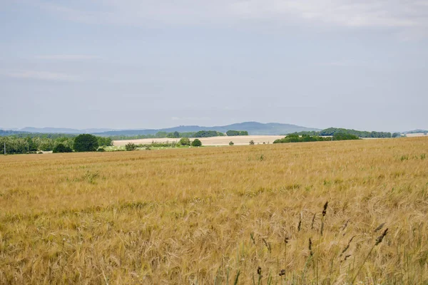 View from Czartowska Skaa (463 m above sea level), one of the most characteristic basalt hills in the Kaczawskie Foothills in Poland.