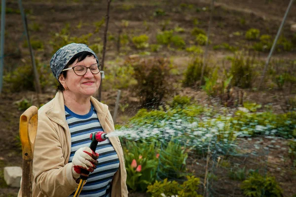 Bahçe ve insanlar kavramı - Çim bahçe hortumu tarafından püskürtücü ile sonbahar sulama mutlu kadın kıdemli