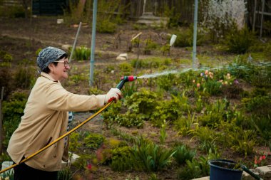 Bahçe ve insanlar kavramı - Çim bahçe hortumu tarafından püskürtücü ile sonbahar sulama mutlu kadın kıdemli