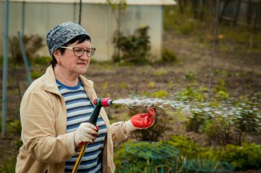 Bahçe ve insanlar kavramı - Çim bahçe hortumu tarafından püskürtücü ile sonbahar sulama mutlu kadın kıdemli