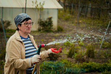 Bahçe ve insanlar kavramı - Çim bahçe hortumu tarafından püskürtücü ile sonbahar sulama mutlu kadın kıdemli