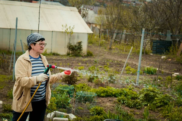 Bahçe ve insanlar kavramı - Çim bahçe hortumu tarafından püskürtücü ile sonbahar sulama mutlu kadın kıdemli