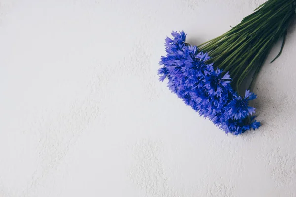 Ramo Acianos Azules Flores Verano Sobre Fondo Blanco Fondo Floral — Foto de Stock