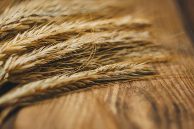 Ahşap arka plan üzerinde buğday ya da çavdar spikelets