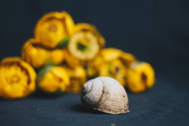 yeşil yaprak ile sarı nilüfer çiçek buketi. taze sökük. kumaş siyah arka plan üzerine kapatın. Sarı nilüfer. ufuk bitki, kırmızı veri kitap. çiçek kompozisyon. Düz yatıyordu, en iyi görünümü.