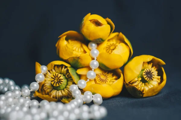 Bouquet of yellow waterlily flower with green leaf. freshly ripped up. close up on black background of fabric. yellow lotus. vanishing plant, red data book. flower composition. Flat lay, top view. — Stock Photo, Image