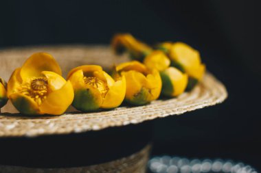 yeşil yaprak ile sarı nilüfer çiçek buketi. taze sökük. Bir hasır şapka. kumaş siyah arka plan üzerine kapatın. Sarı nilüfer. ufuk bitki, kırmızı veri kitap. çiçek kompozisyon düz yatıyordu