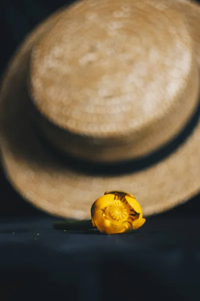 Ramo de flor de nenúfar amarillo con hoja verde. Recién desgarrado. Con un sombrero de paja. primer plano sobre fondo negro de tela. Loto amarillo. planta de desaparición, libro de datos rojo. composición de flores Flat lay Imagen de archivo