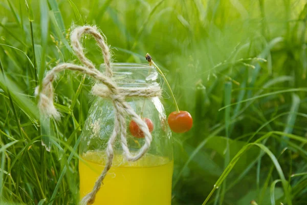 Butelkę soku domowej lemoniady leży na trawie na zewnątrz. Piknik na przyrody w parku na tle drzew z pełnym słońcu. Zdrowe jedzenie, dieta — Zdjęcie stockowe