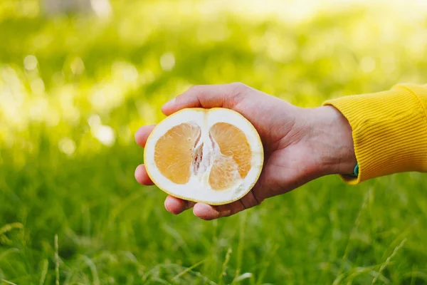 Man holds in his hand half of the cuted yellow orange on the background of trees in the park and green grass. sunny day, summer. citrus closeup. — Stock Photo, Image